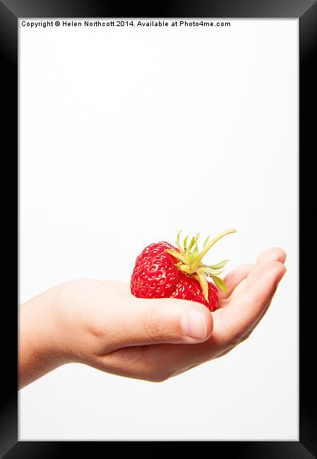 A Strawberry in the Hand Framed Print by Helen Northcott