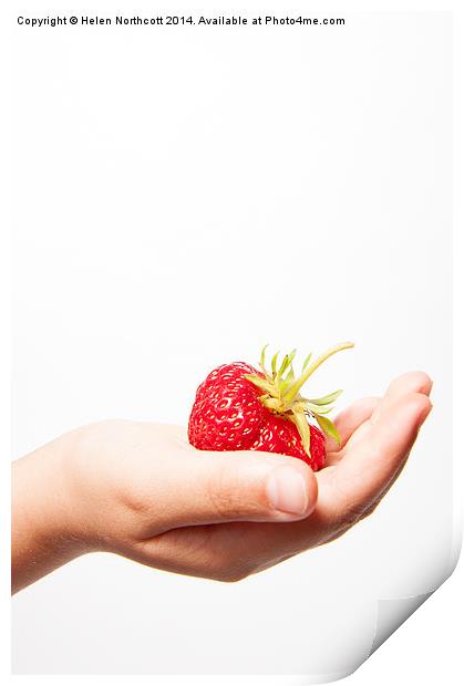 A Strawberry in the Hand Print by Helen Northcott