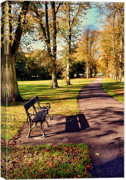 Autumnal colours in the park Canvas Print by Frank Irwin
