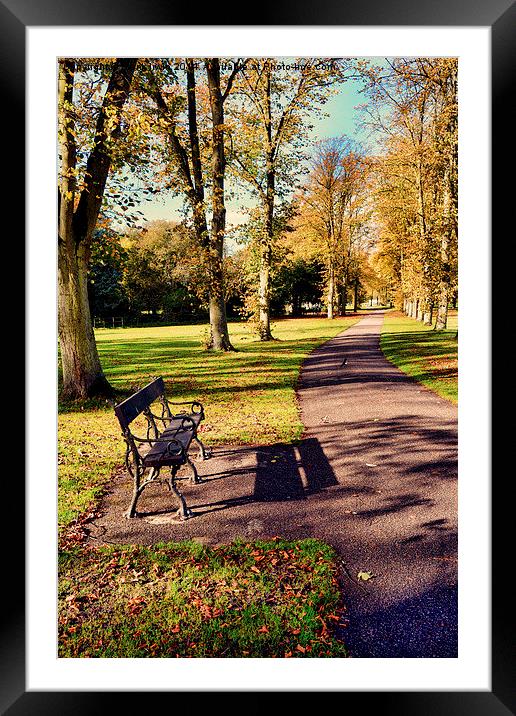 Autumnal colours in the park Framed Mounted Print by Frank Irwin