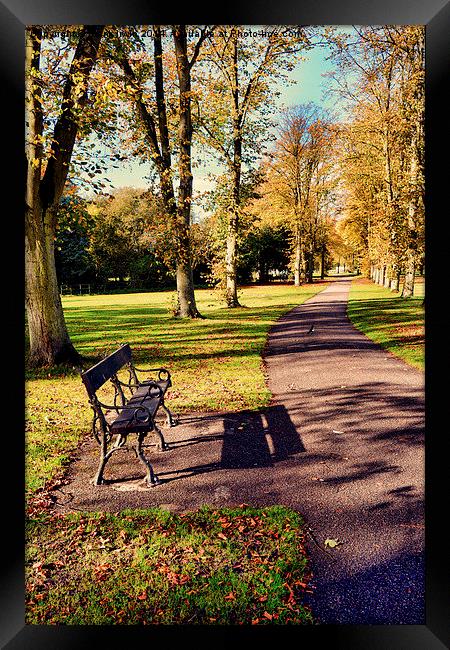 Autumnal colours in the park Framed Print by Frank Irwin