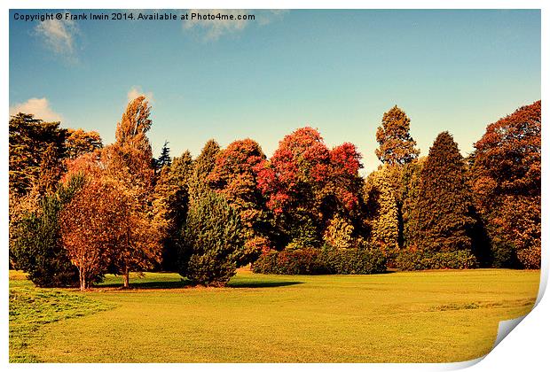  Autumnal colours in the park Print by Frank Irwin