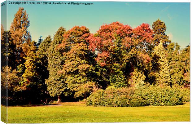  Autumnal colours in the park Canvas Print by Frank Irwin