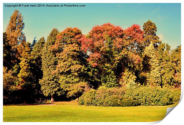  Autumnal colours in the park Print by Frank Irwin
