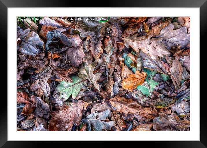  Autumn Leaves! Framed Mounted Print by Simon Rees