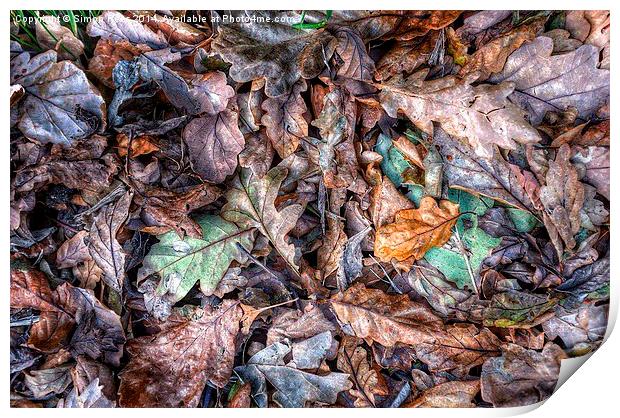 Autumn Leaves! Print by Simon Rees