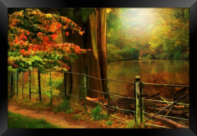  Autumn pond  Framed Print by Heaven's Gift xxx68