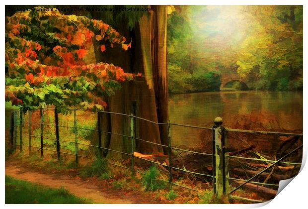  Autumn pond  Print by Heaven's Gift xxx68