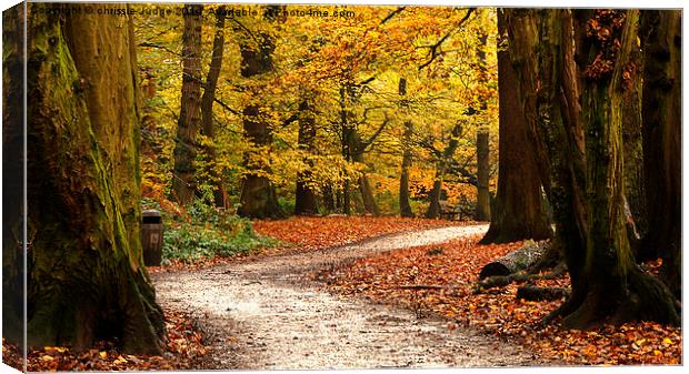  Autumn forest  Canvas Print by Heaven's Gift xxx68