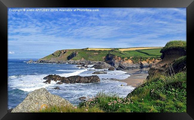  Gunwalloe Church Cove lizard Cornwall Framed Print by austin APPLEBY