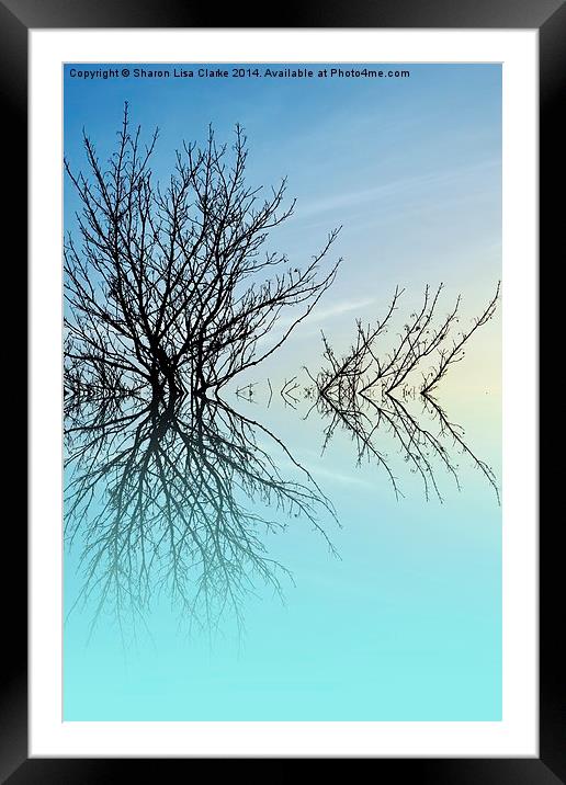  Twiglets Framed Mounted Print by Sharon Lisa Clarke