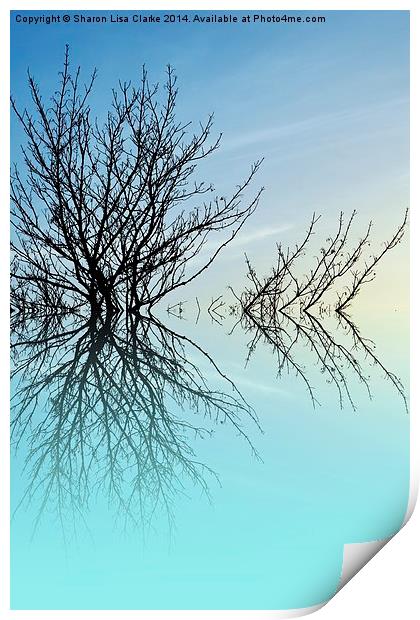  Twiglets Print by Sharon Lisa Clarke