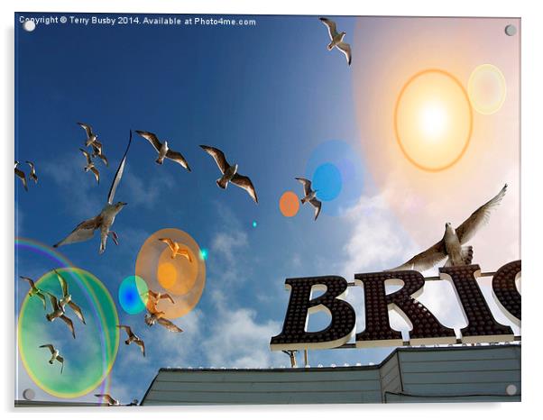  Seagull lens flare Acrylic by Terry Busby