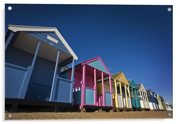 Beach Hut Row Acrylic by Stephen Mole