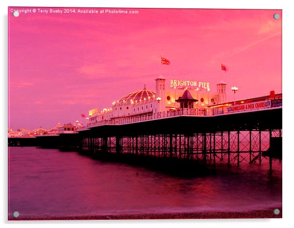  Brighton Pier Acrylic by Terry Busby