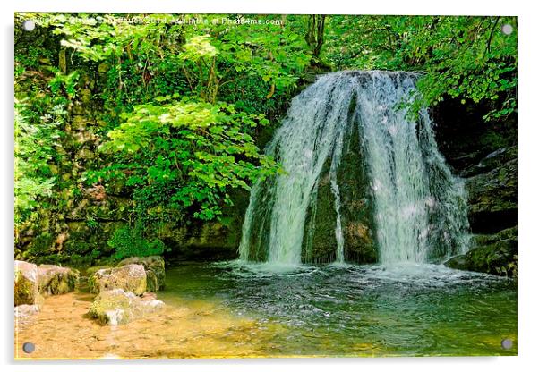  Janet's Foss Acrylic by Gisela Scheffbuch