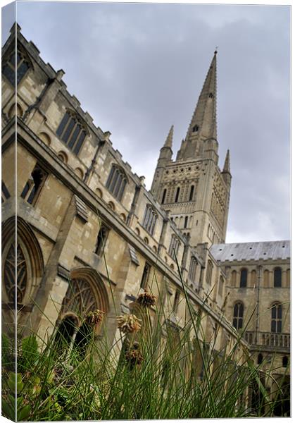 Norwich Cathedral Canvas Print by Stephen Mole