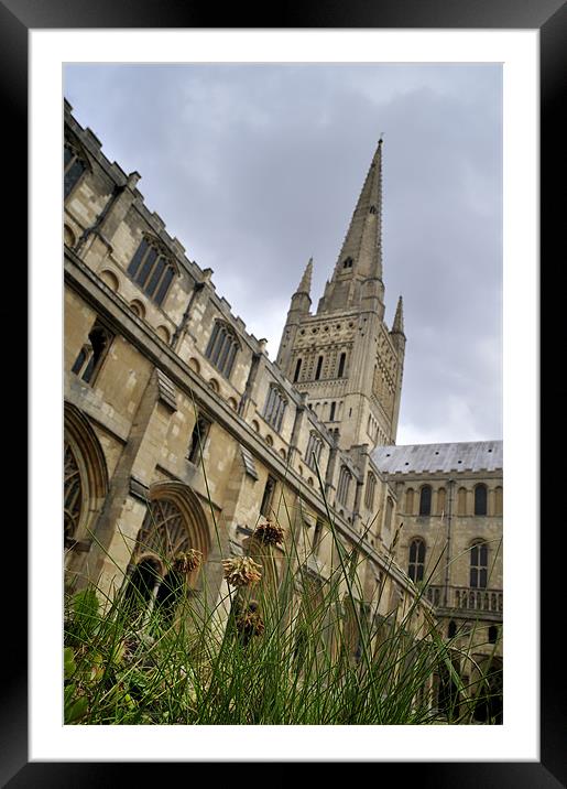 Norwich Cathedral Framed Mounted Print by Stephen Mole