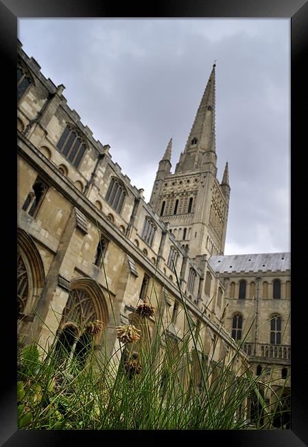 Norwich Cathedral Framed Print by Stephen Mole
