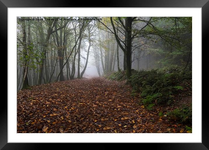  Misty Autumn Morning Framed Mounted Print by David Tinsley