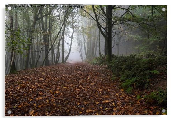  Misty Autumn Morning Acrylic by David Tinsley