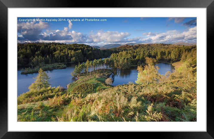  Tarn Hows Framed Mounted Print by Martin Appleby