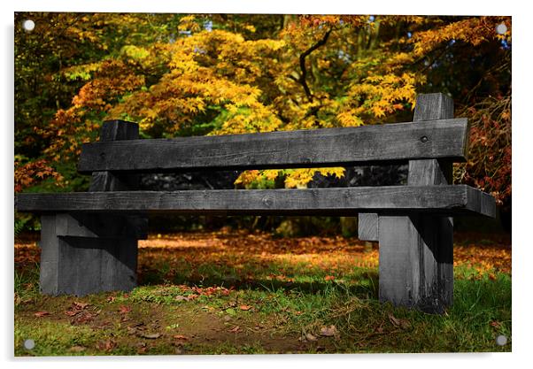 Wooden Bench amongst maple trees  Acrylic by Jonathan Evans