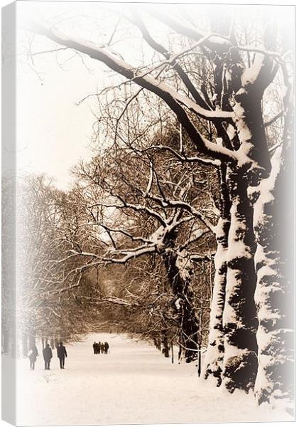 Sepia Trees in Greenwich Park Canvas Print by Karen Martin