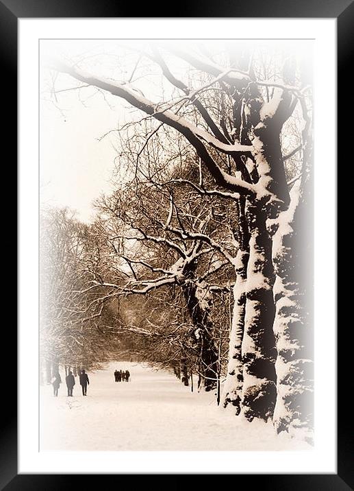 Sepia Trees in Greenwich Park Framed Mounted Print by Karen Martin