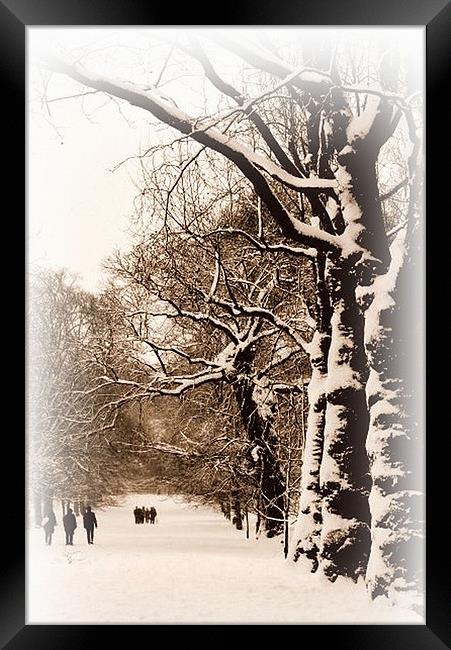 Sepia Trees in Greenwich Park Framed Print by Karen Martin