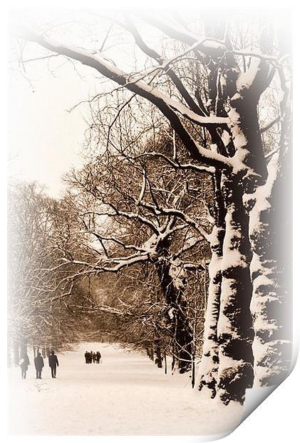 Sepia Trees in Greenwich Park Print by Karen Martin
