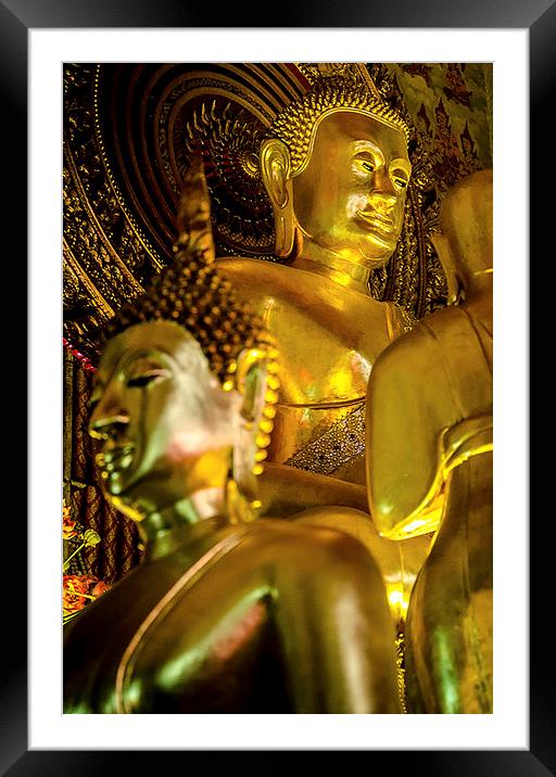  Golden Buddha  Framed Mounted Print by Dave Rowlands
