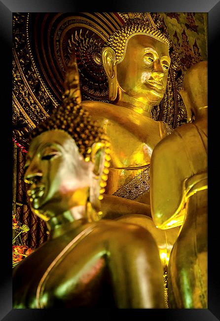  Golden Buddha  Framed Print by Dave Rowlands
