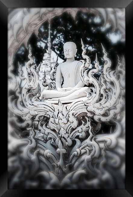  White Buddha  Framed Print by Dave Rowlands