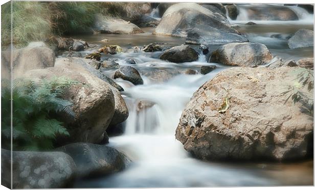  The Beauty of Water Canvas Print by Dave Rowlands