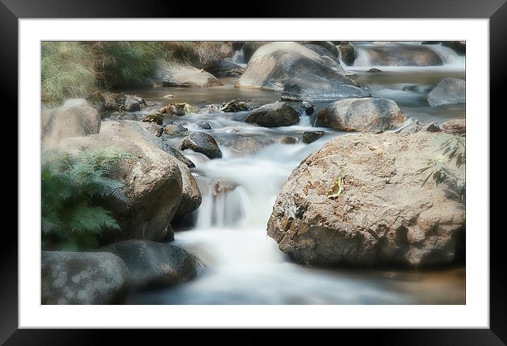  The Beauty of Water Framed Mounted Print by Dave Rowlands
