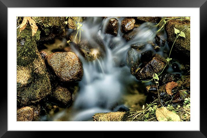  The Beauty of Water Framed Mounted Print by Dave Rowlands