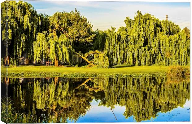  Willow reflections Canvas Print by Graeme Wilson