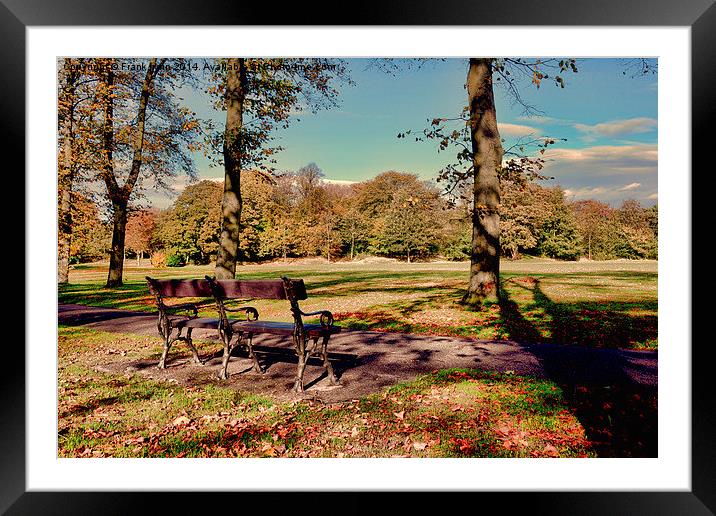  Autumnal colours in the park Framed Mounted Print by Frank Irwin