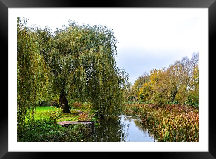  stunning waterway Framed Mounted Print by nick wastie