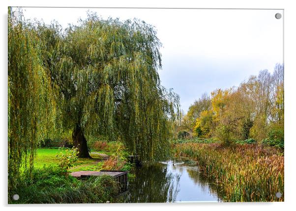  stunning waterway Acrylic by nick wastie