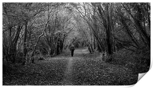  lonely walk Print by Kayleigh Meek