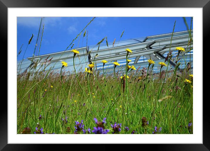 National Botanical Centre, Wales  Framed Mounted Print by Jonathan Evans