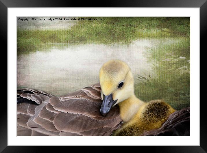 There's nothing like a mama-hug. ~Terri Guillemets Framed Mounted Print by Heaven's Gift xxx68