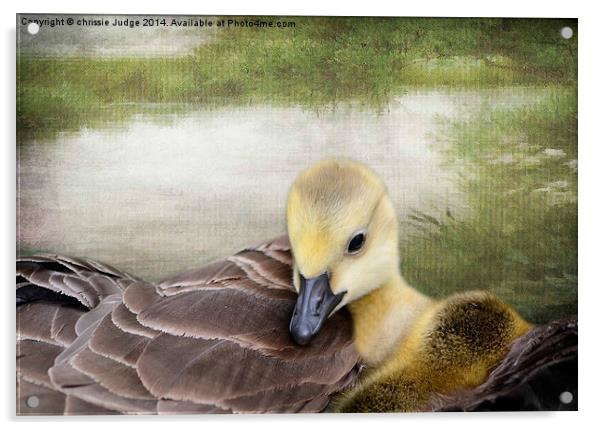 There's nothing like a mama-hug. ~Terri Guillemets Acrylic by Heaven's Gift xxx68