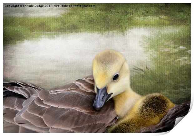 There's nothing like a mama-hug. ~Terri Guillemets Print by Heaven's Gift xxx68