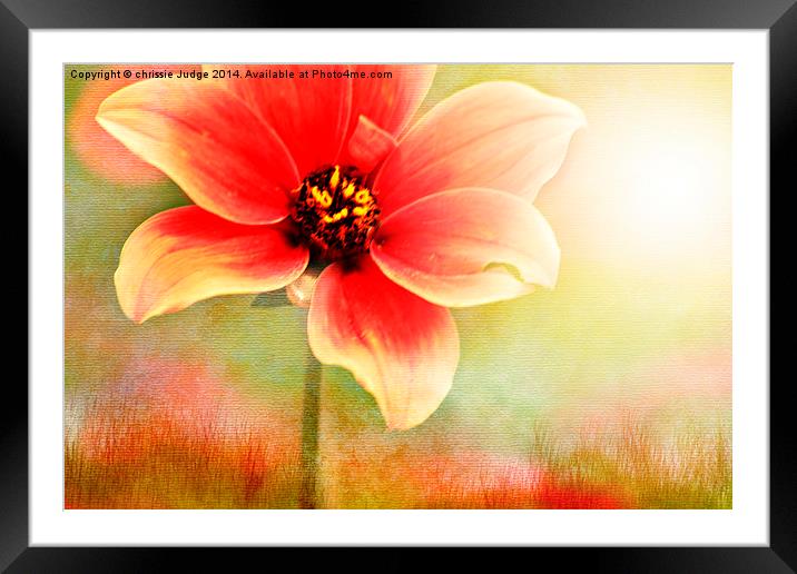  The flower  Framed Mounted Print by Heaven's Gift xxx68