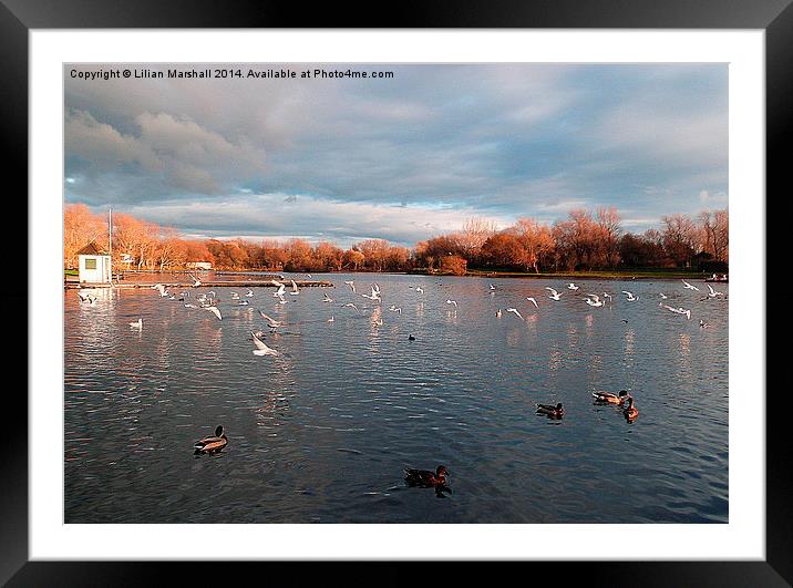 Stanley Park . Blackpool.  Framed Mounted Print by Lilian Marshall