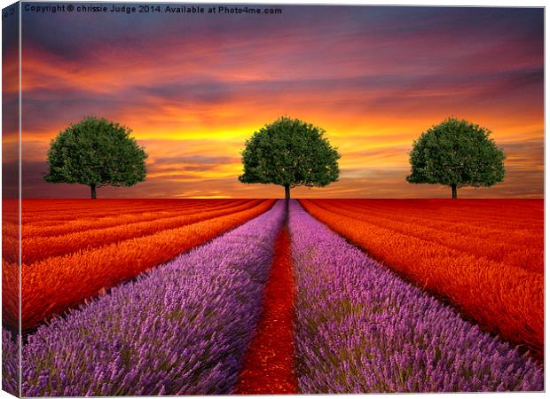  The Three tree's  Canvas Print by Heaven's Gift xxx68