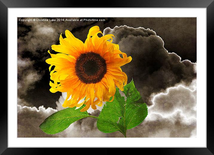  Summer In A Storm Framed Mounted Print by Christine Lake